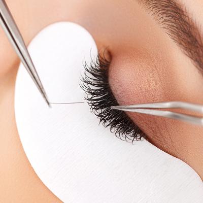 Grundausbildung_Einzelwimperntechnik