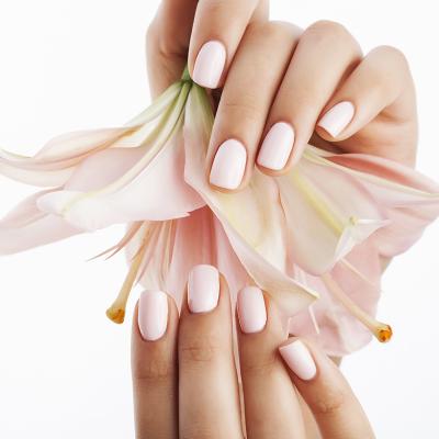 Nail Design Seminare